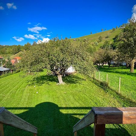 Отель Flore'S Garden Glamping Бран Экстерьер фото