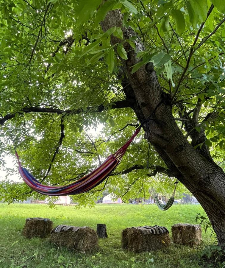 Отель Flore'S Garden Glamping Бран Экстерьер фото
