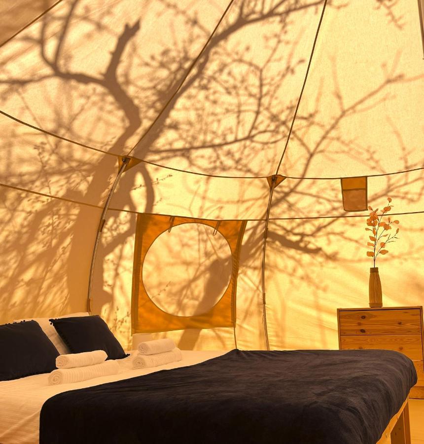 Отель Flore'S Garden Glamping Бран Экстерьер фото