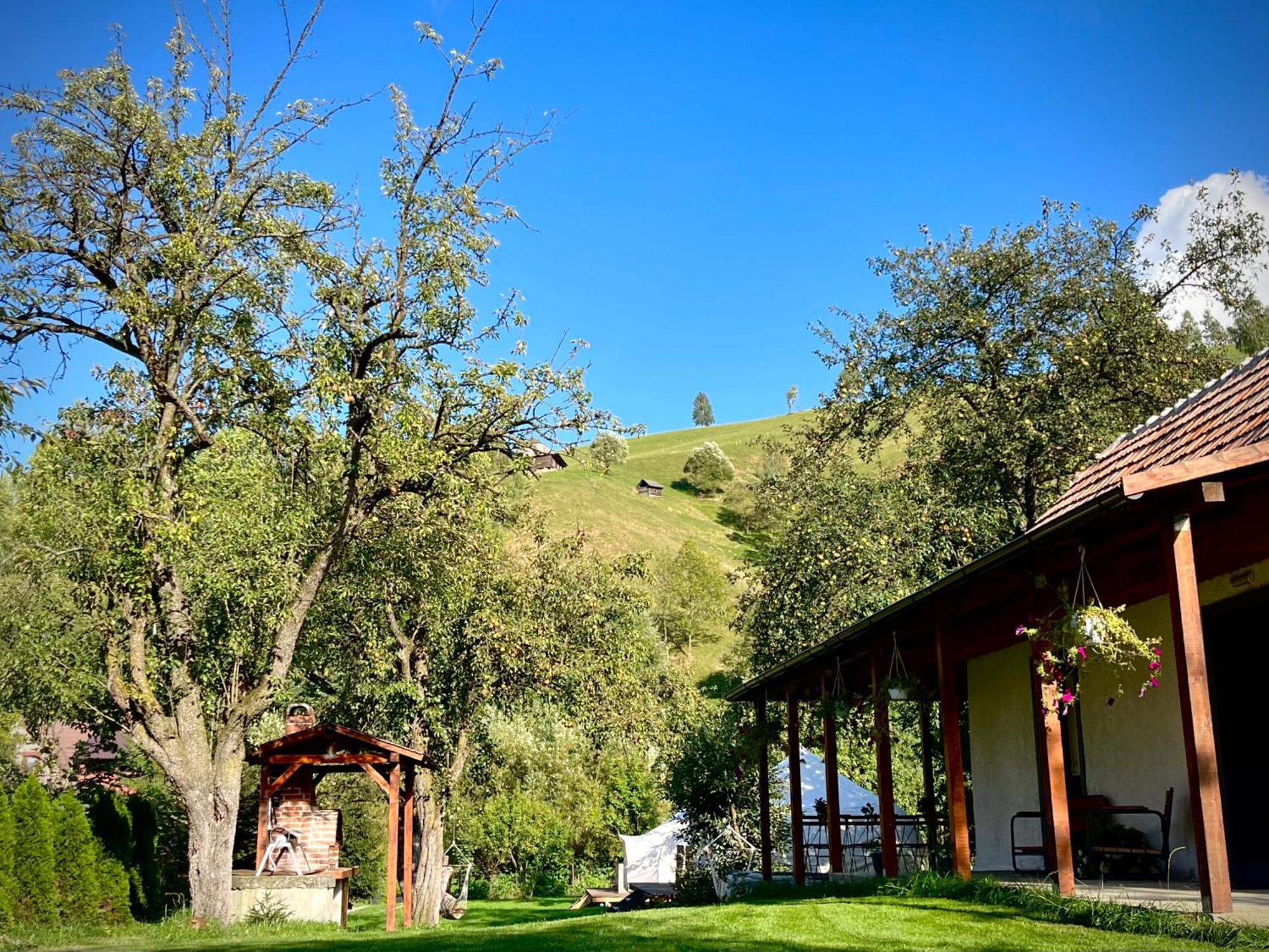 Отель Flore'S Garden Glamping Бран Экстерьер фото
