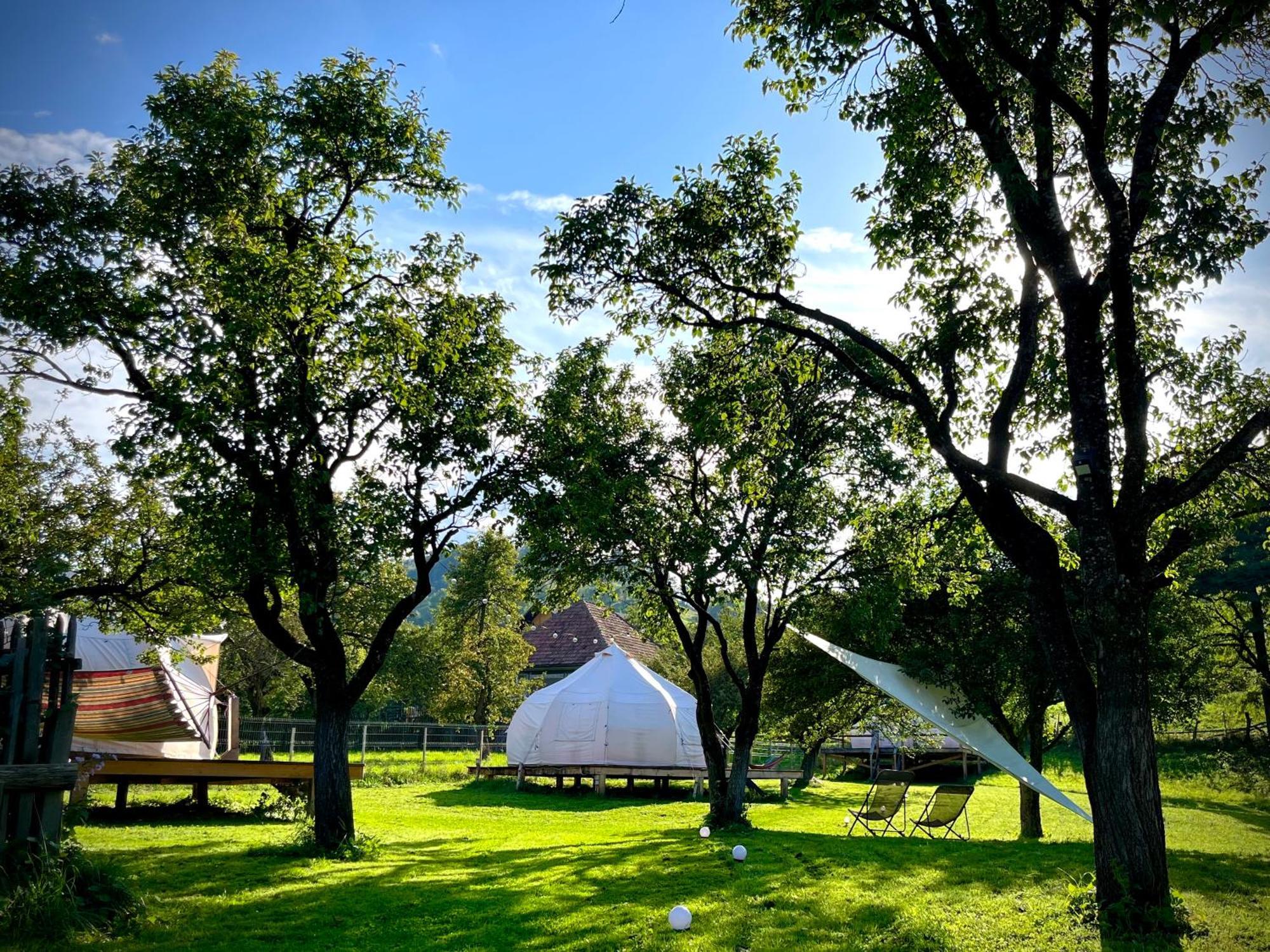 Отель Flore'S Garden Glamping Бран Экстерьер фото