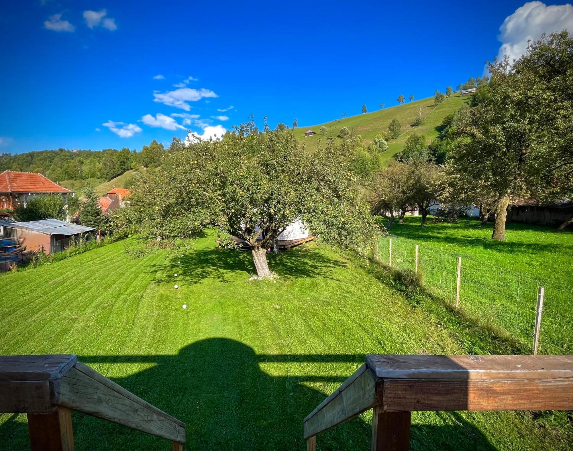 Отель Flore'S Garden Glamping Бран Экстерьер фото